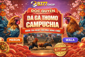 Giới thiệu tổng quan về BJ77.SHOP