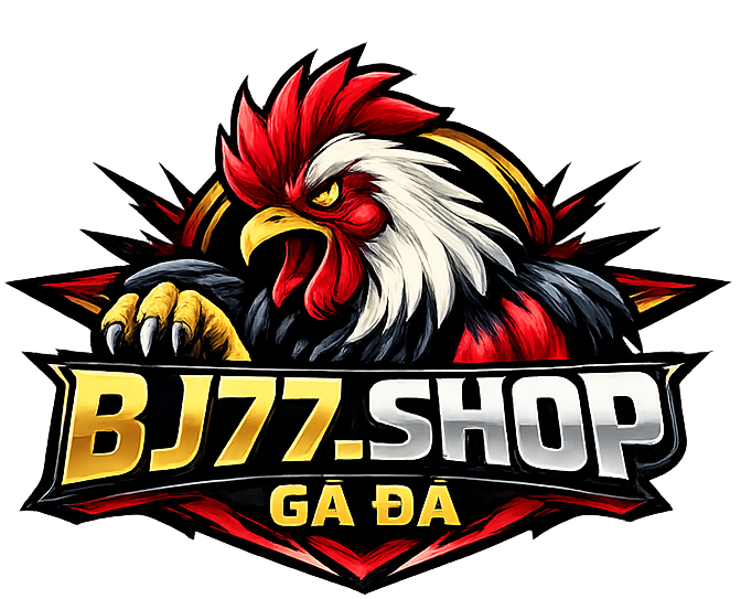 Bj77.shop